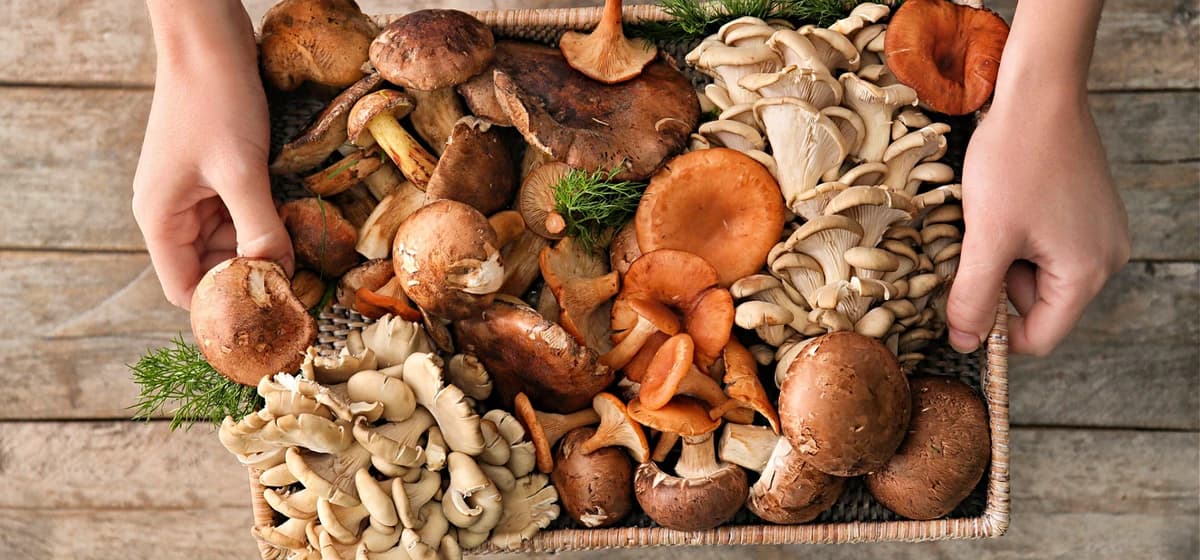 Organic Mushrooms