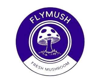 FlyMush